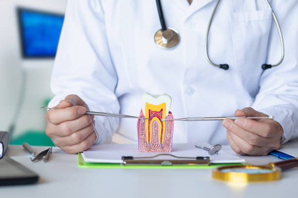 Best Emergency Root Canal Treatment in Tracy, CA